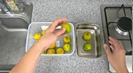 Smartphone frame of a person sorting tangerines.